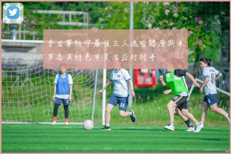 季后赛防守最佳三人选哈滕唐斯米罗各具特色可灵活应对对手